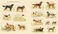 CYNTHIA HARTS 340 VICTORIANA DOGS STICKERS