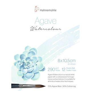 HAHNEMUHLE NATURAL AGAVE W/COL 290G BLOCK 8X10CM