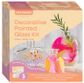 CRAFT MAKERS GLASS PAINTING KIT