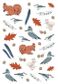 NATURE ANATOMY STICKER BOOK