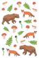 NATURE ANATOMY STICKER BOOK