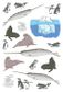 OCEAN ANATOMY STICKER BOOK