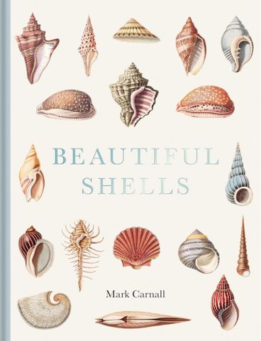 BEAUTIFUL SHELLS