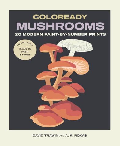 COLOREARDY MUSHROOMS PAINT BY NUMBER PRINTS