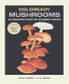 COLOREARDY MUSHROOMS PAINT BY NUMBER PRINTS