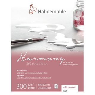 HAHNEMUHLE HARMONY W/C 300G CP BLOCK 8X10CM