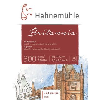 HAHNEMUHLE BRITANNIA MATT 300G W/C BLOCK 8X10CM
