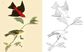 BIRDS COLOURING BOOK