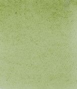 SCHMINCKE HORADAM W/C 1/2 GREEN EARTH