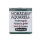SCHMINCKE HORADAM W/C 1/2 HOOKERS GREEN