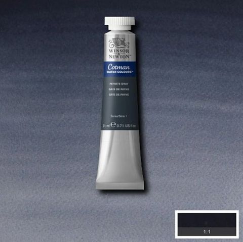 W&N COTMAN W/C 21ML PAYNE'S GRAY