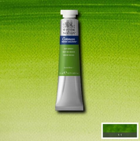 W&N COTMAN W/C 21ML SAP GREEN