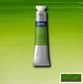 W&N COTMAN W/C 21ML SAP GREEN