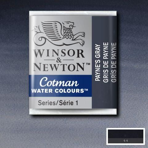 W&N COTMAN HALF PAN PAYNES GRAY