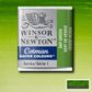 W&N COTMAN HALF PAN SAP GREEN