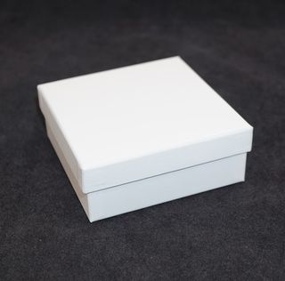 SDLPO-PENDANT/MULTI BOX WHT LEATHERETTE C-BOARD