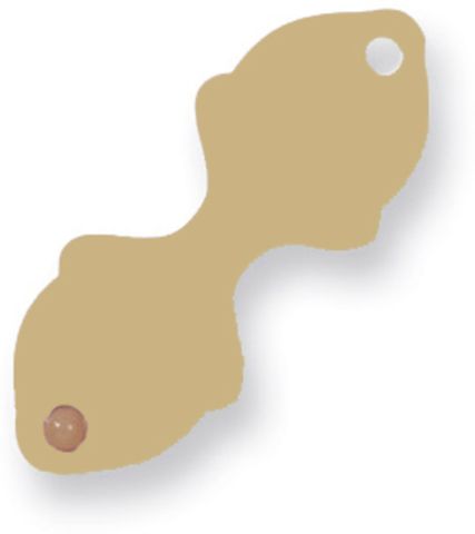 ZETAGS CLASSIC ARCH CROWN  TAG #705