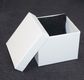 CB8-WATCH/BANGLE WHITE CARDBOARD BOX WHITE CUSHION