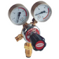 LITTLE TORCH REGULATORS