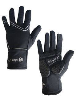 Winter Gloves