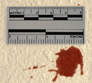 Adhesive White Scales(50)