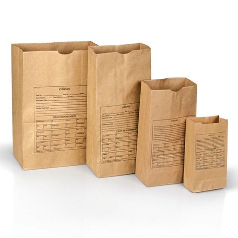Paper Bags- Style 12 - 100pk
