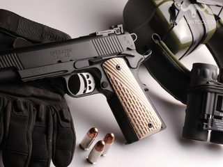 S&W 1911 Govt Tactical Panel Elite II - Khaki G10