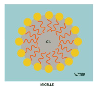 Green Rhino Cleaning Chemicals - Soap Micelle how it works