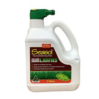 10581 Seasol Lush for Lawns 2L (4)