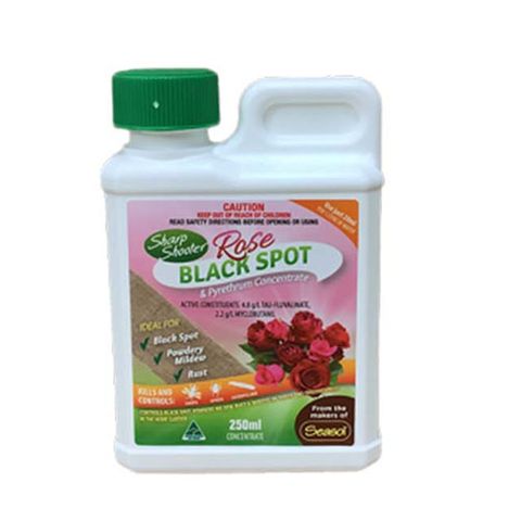 Sharp Shooter Rose Concentrate 250ml (12