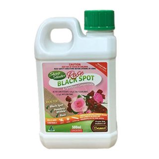 Sharp Shooter Rose Concentrate 500ml (12