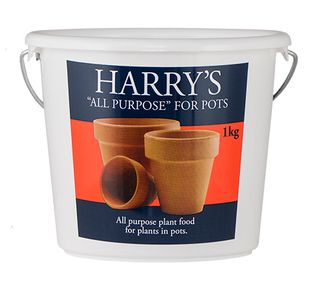 Harry's All Purpose for Pots 1kg (8)