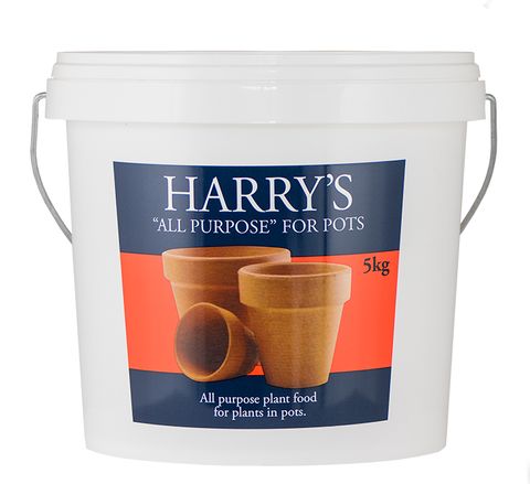 Harry's All Purpose for Pots 5kg (3)