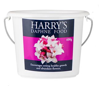 Harry's Daphne Food 600g (10)