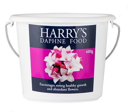 Harry's Daphne Food 600g (10)