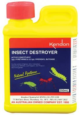 250ml Insect Destroyer Pyrethrum (12)
