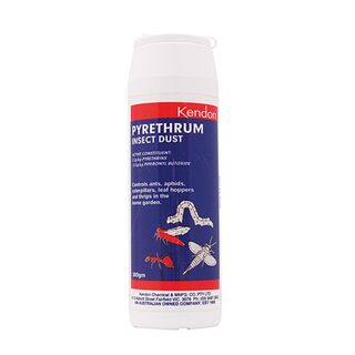 300g Pyrethrum Insect Dust (1)