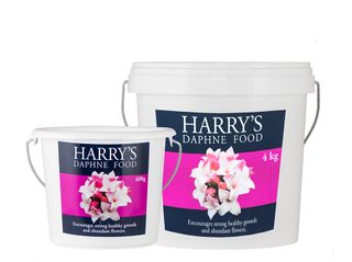 Harry's Daphne Food 10kg (1)