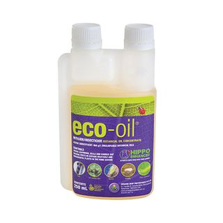 250ml eco-oil AO CERT (6)