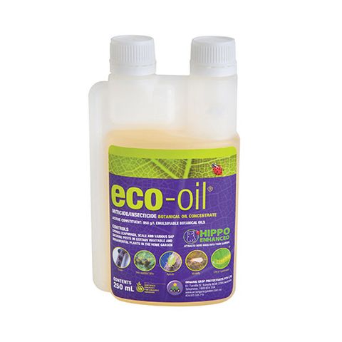 250ml eco-oil AO CERT (6)