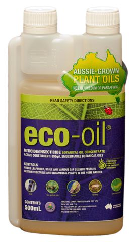 500ml eco-oil AO CERT (10)