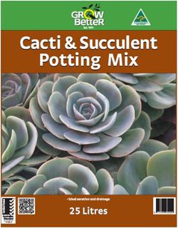 25lt Cacti Mix (84)