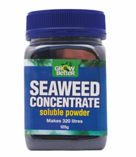 125g Seaweed Concentrate Powder (8)