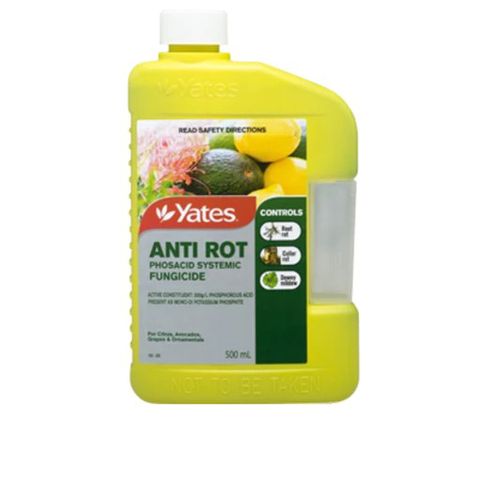 500ml Anti Rot Fungicide Concentrate (6)