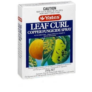 250g Leaf Curl Copper Fungicide Con (12)