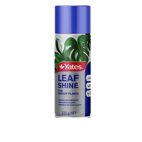 225g Leaf Shine Aerosol (12)