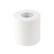 Toilet Tissue