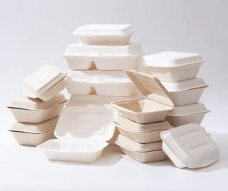 9x9 SugarCane LargeDinner Pack