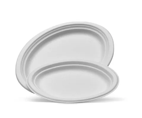 Biodegradable Plate 256x195mm