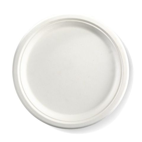 Biodegradable Plate 260mm